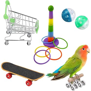 Amazon.co.jp 人気ギフトランキング: 鳥用おもちゃ で、ギフトの設定を